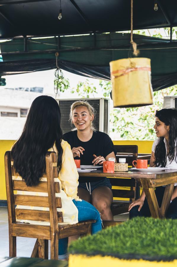 Backpackers Park *